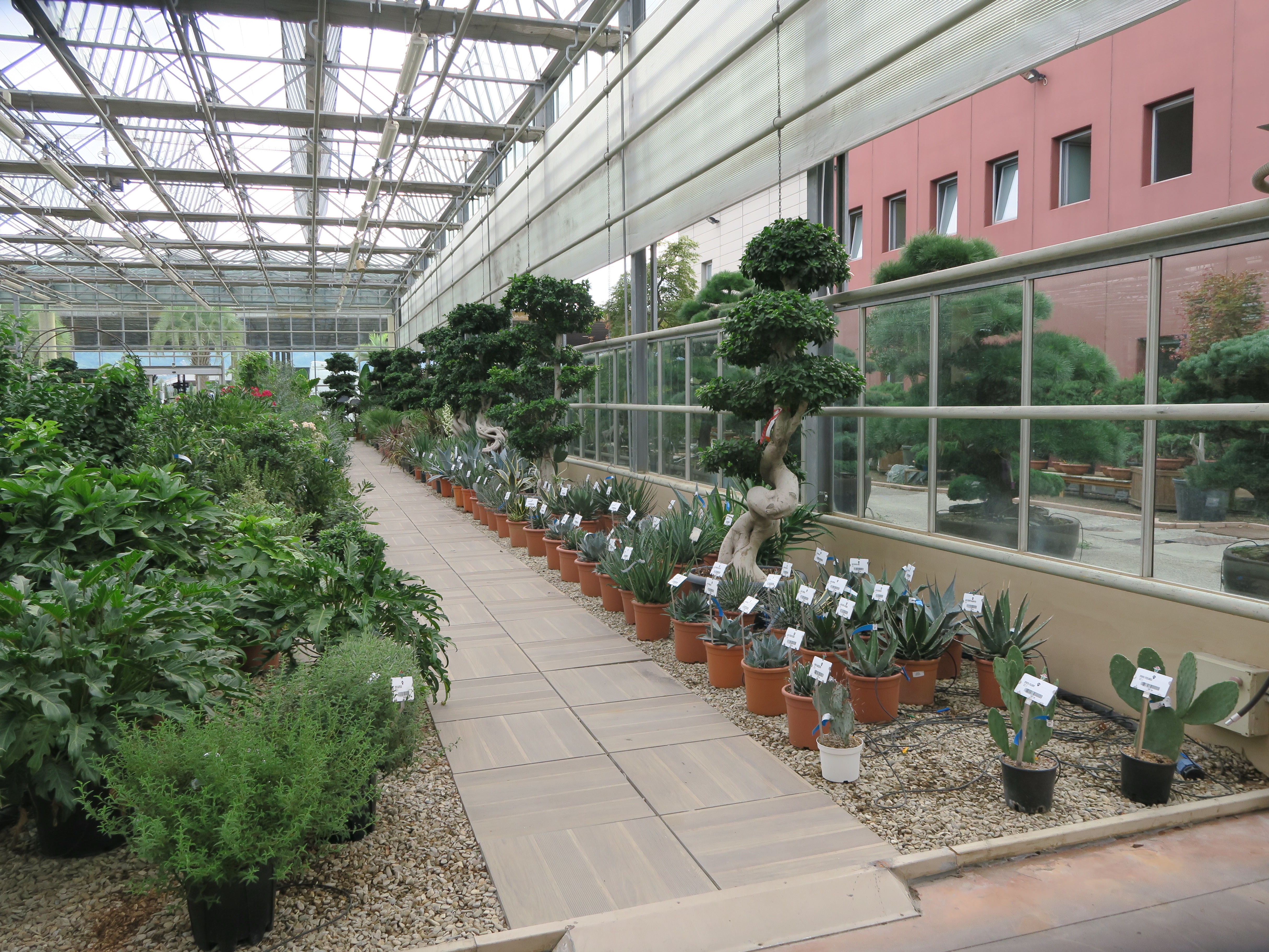 09.07. VASÁRNAP ZÁRVA